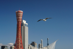 PSX_20191203_210757