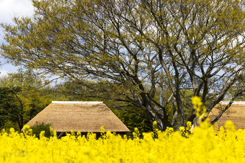 懐しい風景