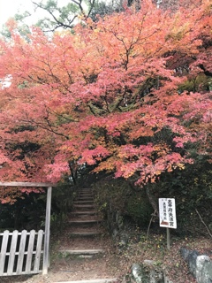 太宰府天満宮