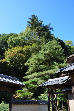 行徳家住宅3
