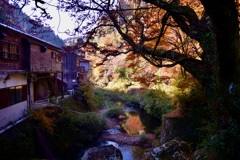 深耶馬溪の秋③