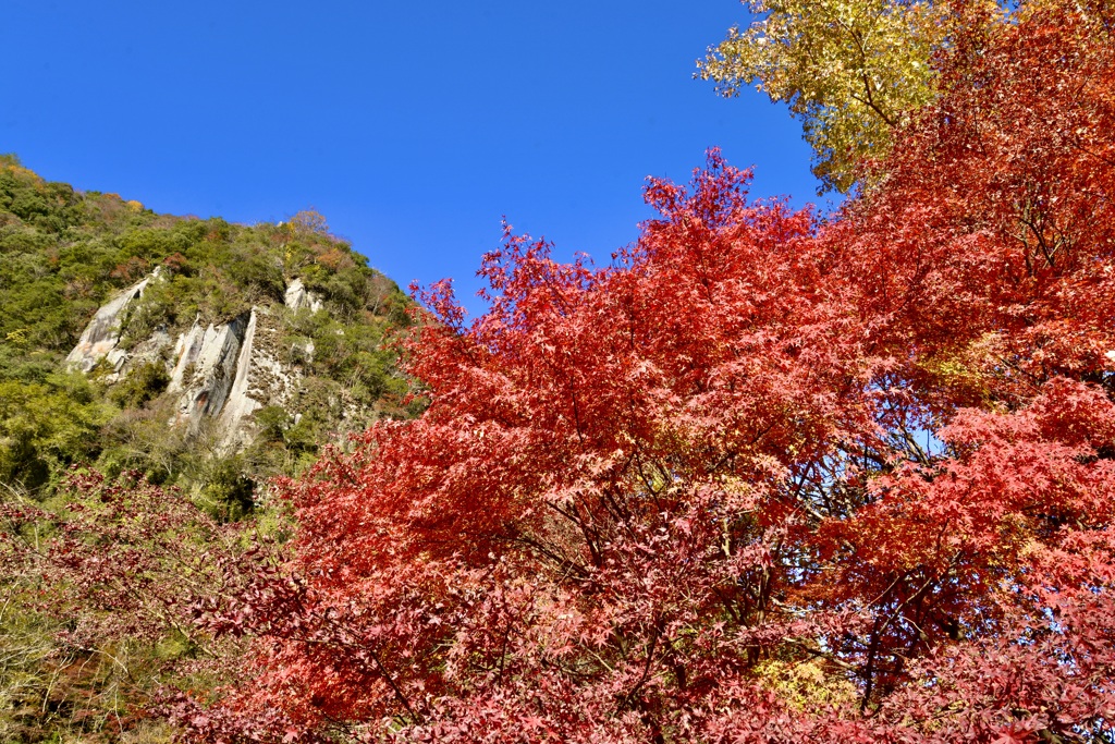 深耶馬溪の秋②
