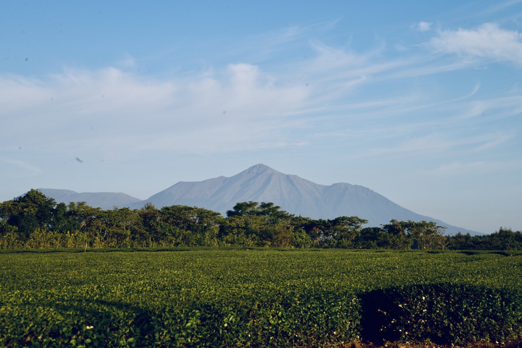 霊峰高千穂の峰