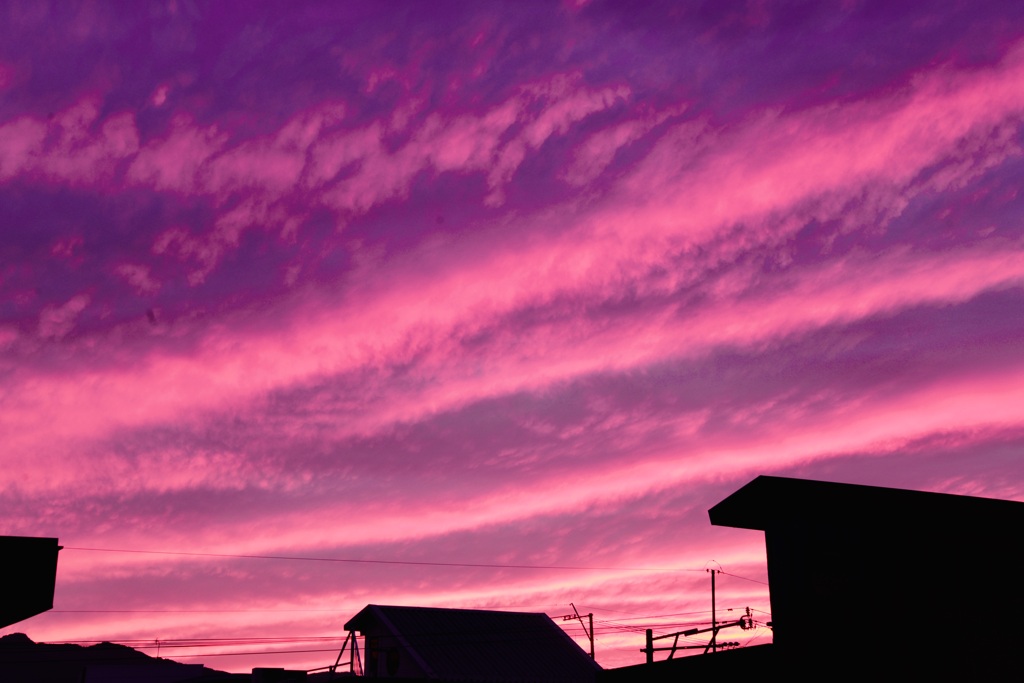 今日の夕日
