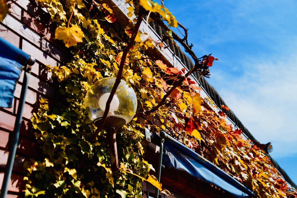 あるカフェで‥２