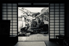 遠い記憶〜ある廻船問屋〜