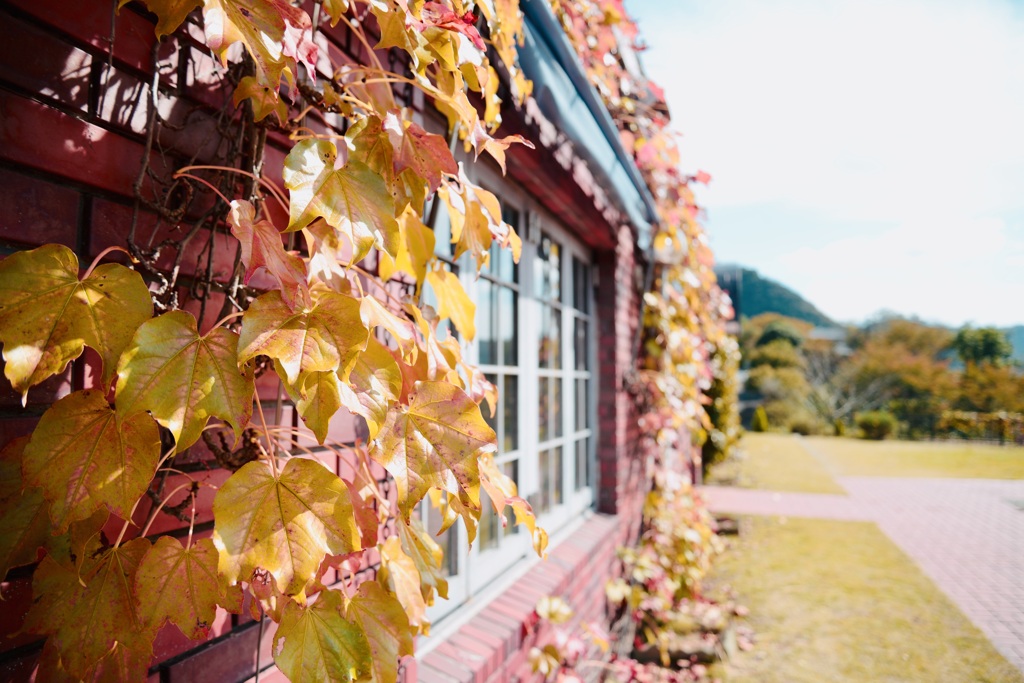 あるカフェで‥