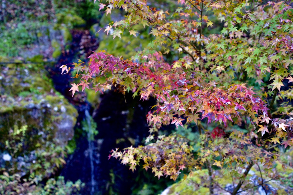 念願の高千穂峡②