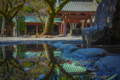 リフレクション ～三嶋大社～