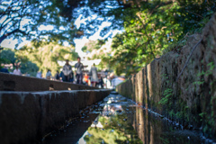神宮参道
