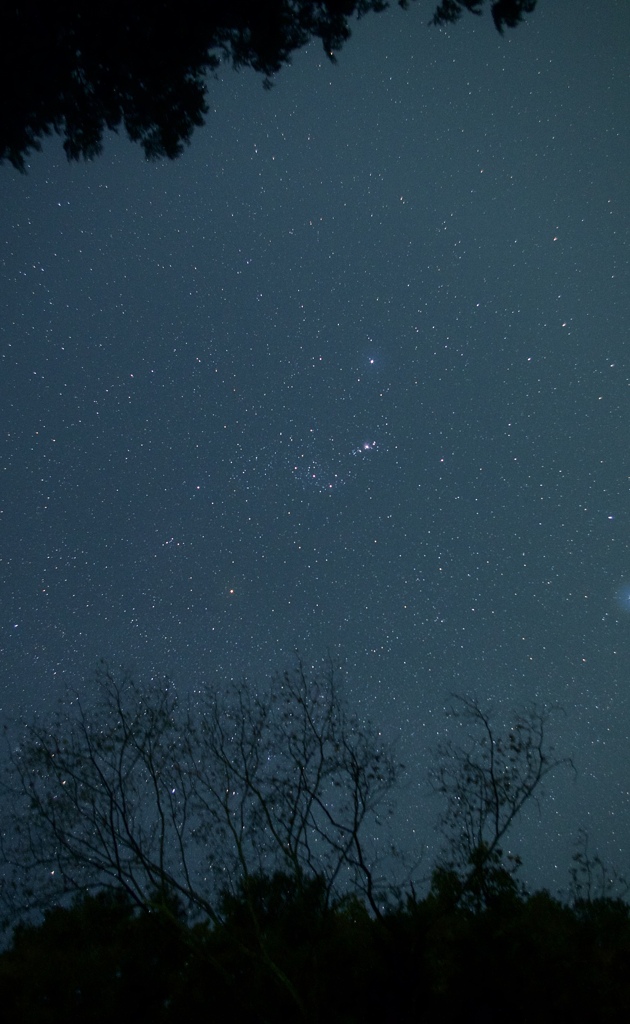 Orion at Sakurai