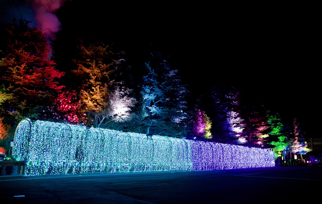Illumination at Hotel Suginoi ②