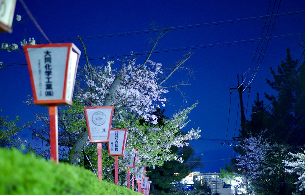 At Koriyama castle ruins