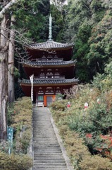 松尾寺