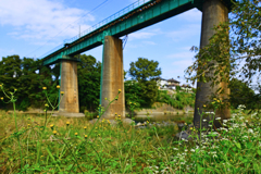 第二次入間川写真紀行#7