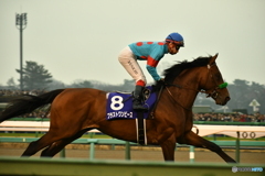 2018年有馬記念（ブラストワンピース）