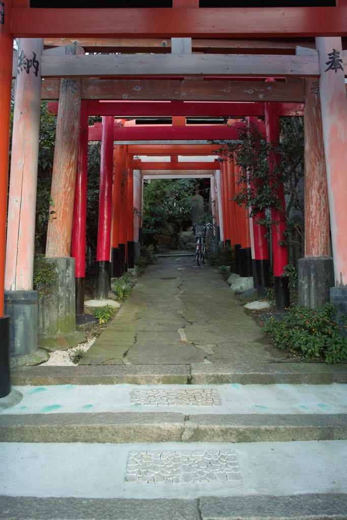 2-14京都2009-02・・・おさんぽby DP1 ミニ鳥居のトンネル