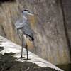 決めポーズ