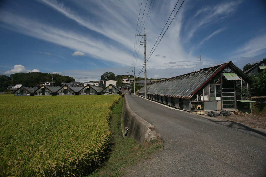 通学路の光景