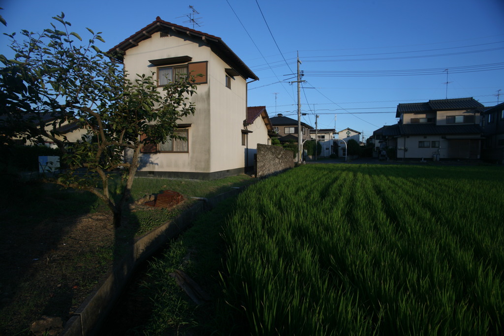 私の撮影道から