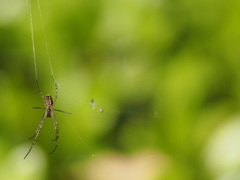 A8C67260-03E3-45E0-B1B1-70114495CF5E