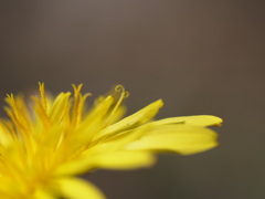 B118CCFE-6E9E-4AA7-8EDB-EB7240553914