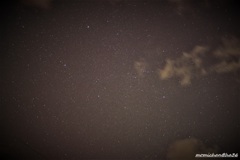 星