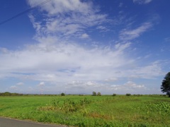 IMGP9395