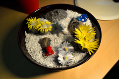 lithops