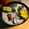 lithops