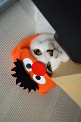 ハロウィーン(-_- )