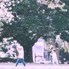 桜舞い散る