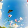 天高く