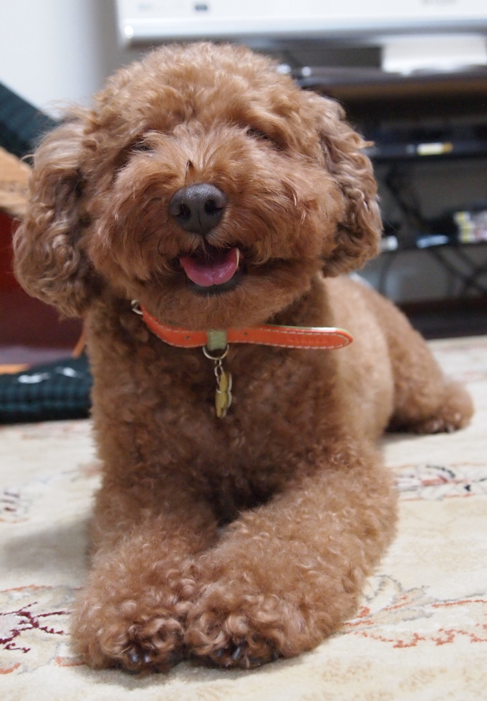 Smile^^