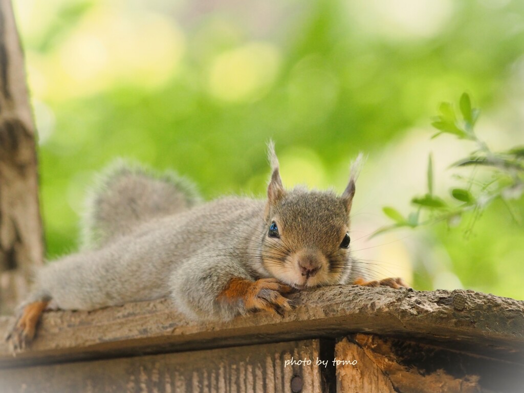 みつめて♡