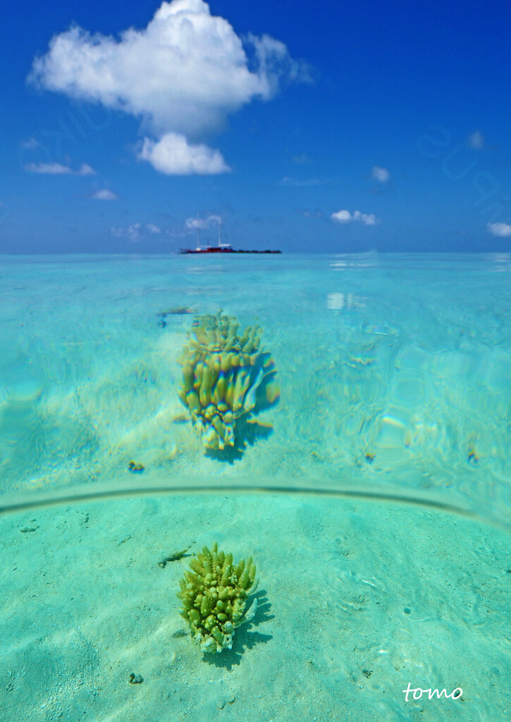 空と海との間には By Tomo Id 写真共有サイト Photohito