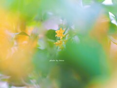 秋みつけました♡