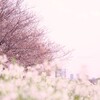 はる。