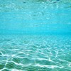 水の星