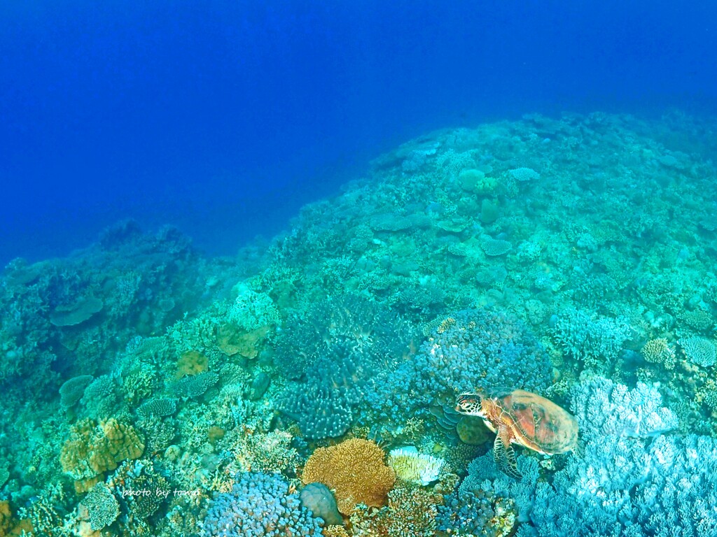 ぼくのふるさと