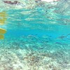 はじまりの海