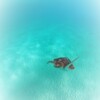 大海原をゆく