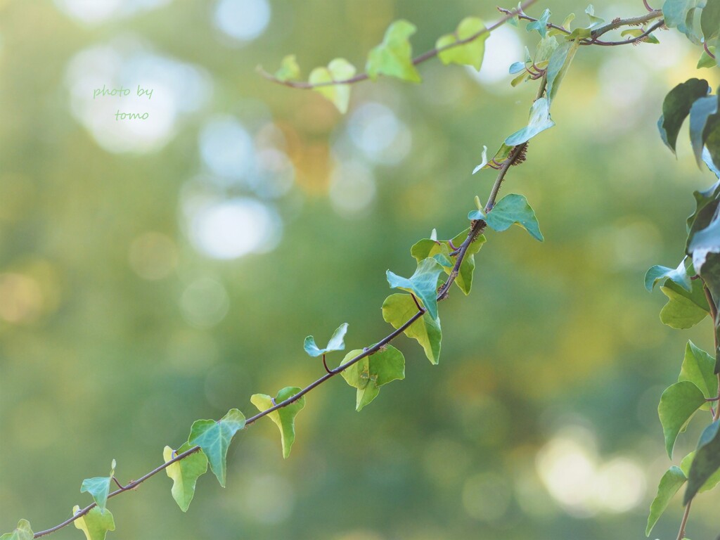 つながる