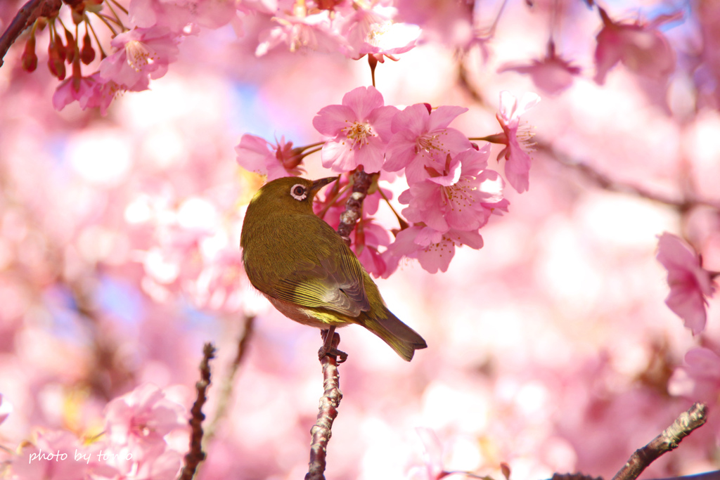 幸せの瞬間