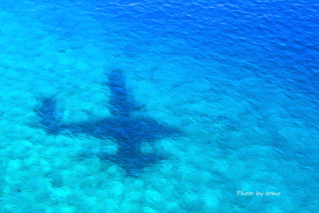 海底を泳ぐ飛行機