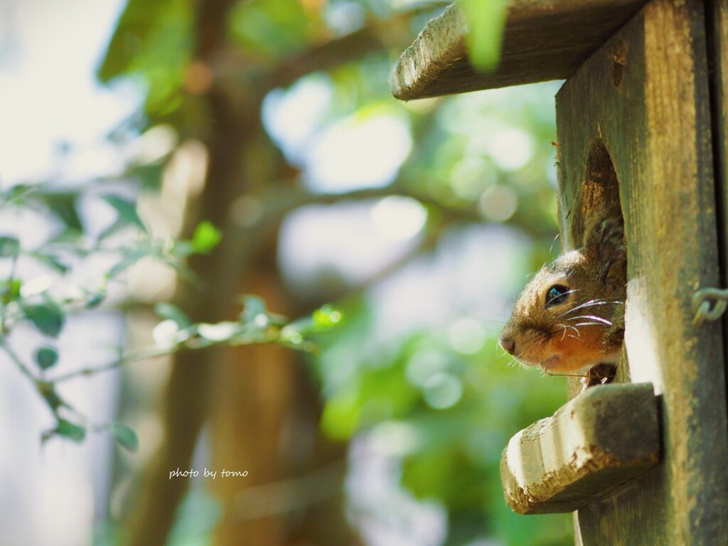 I want to stay home。。。