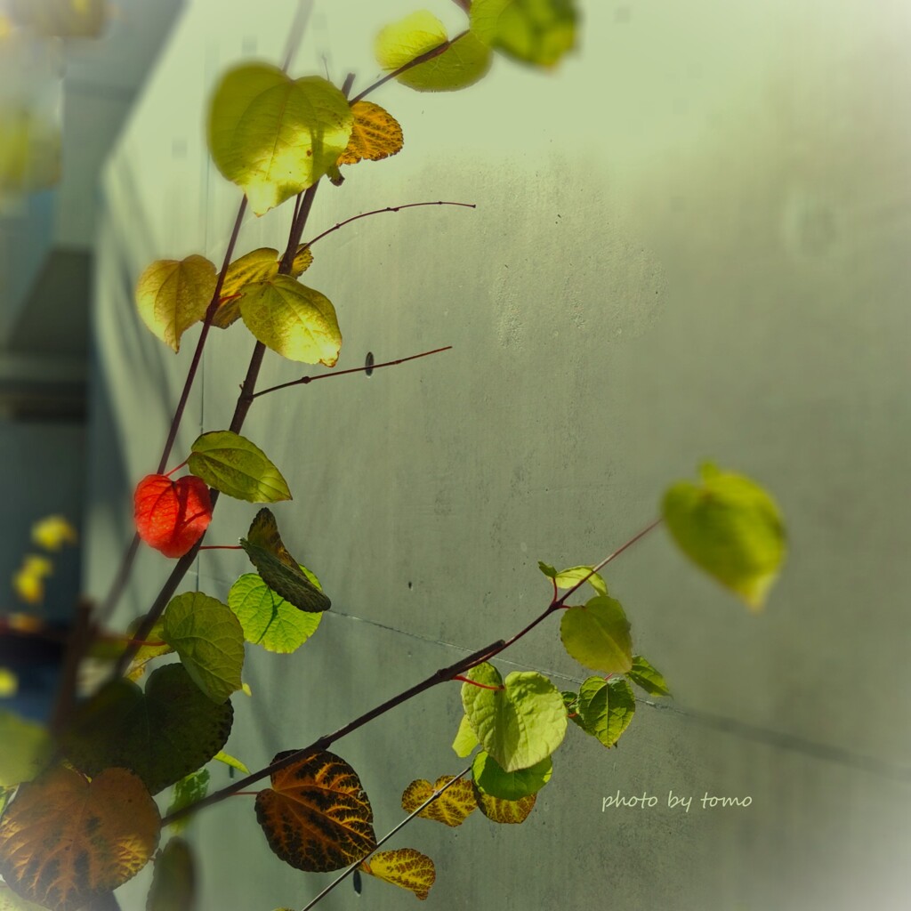 Find a little happiness♡