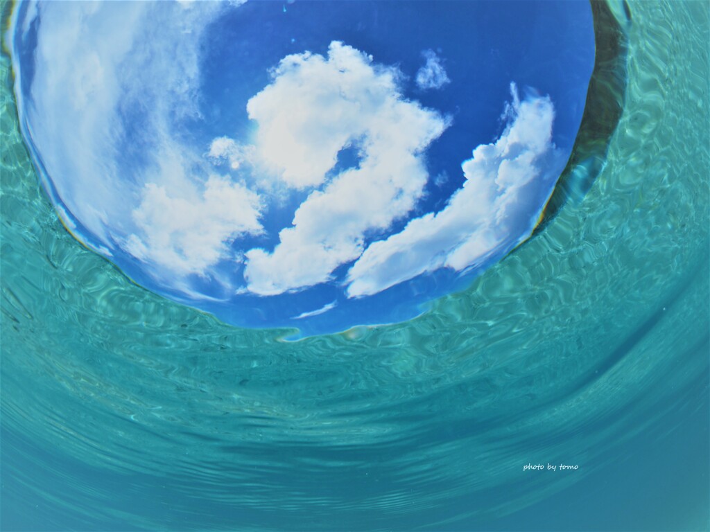 The Little Mermaid♬