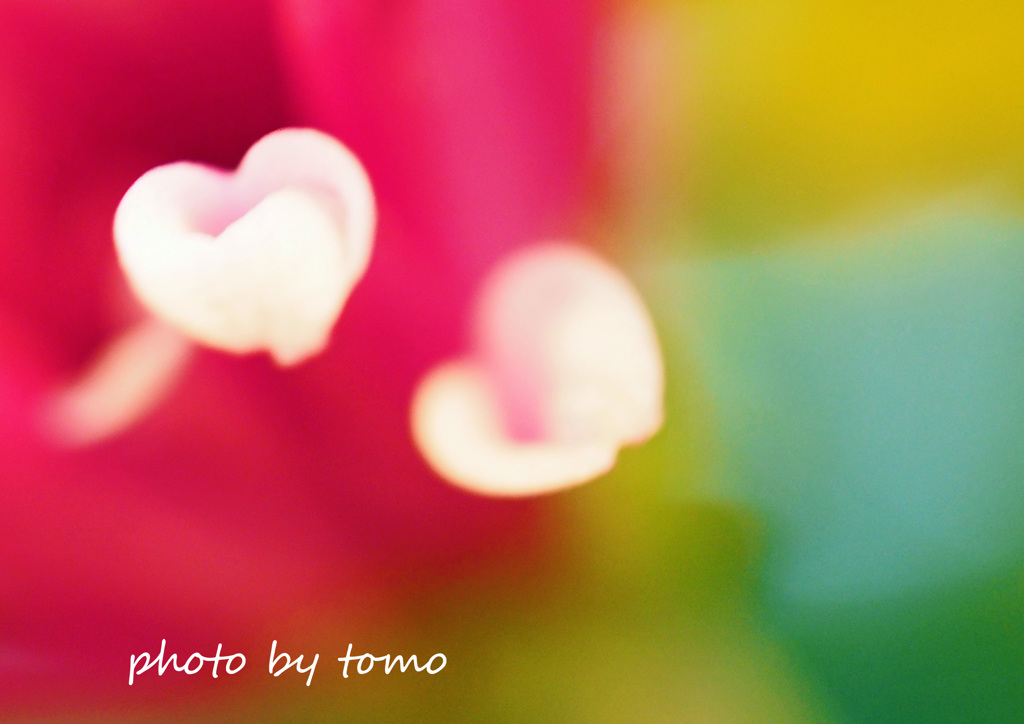 福はうち♡