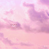 桜色の空を飛ぶ　未来へむかって